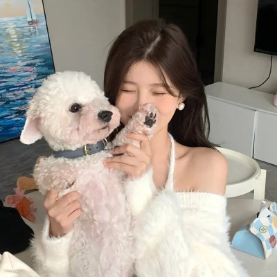 勇者福星粤语 封面