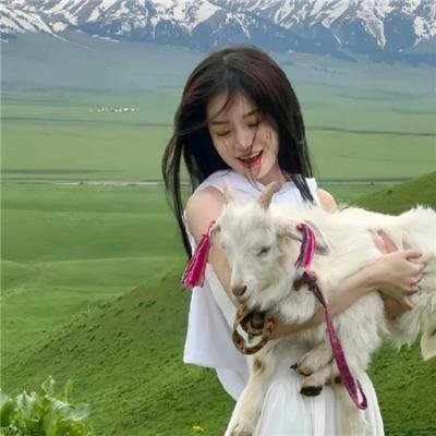手可摘星辰 封面