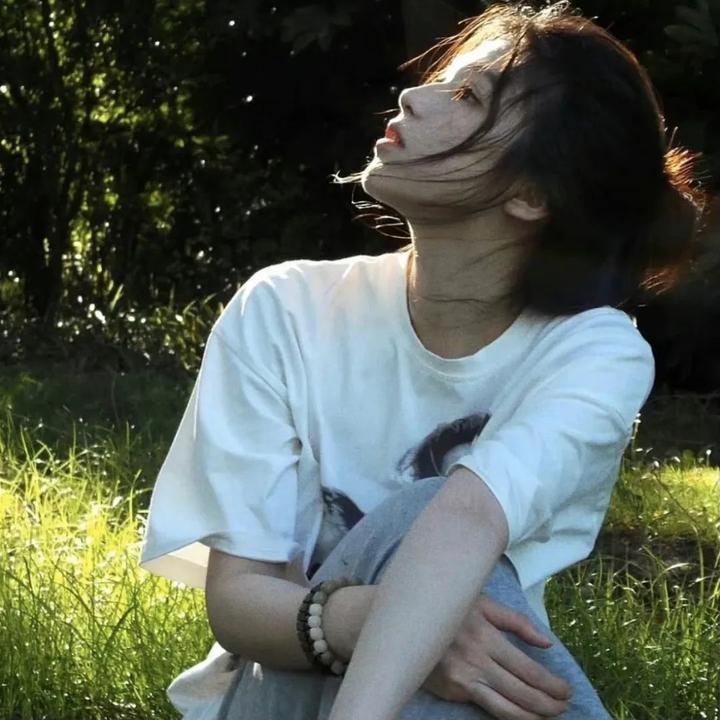 神枪少女第一季 封面